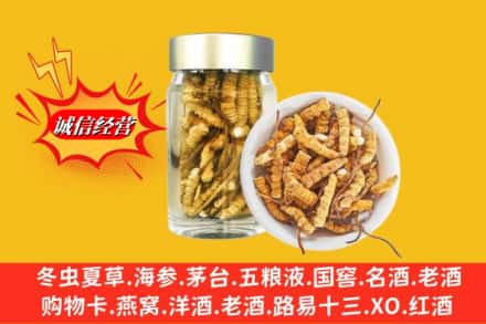 喀什莎车县名酒回收散虫草.jpg