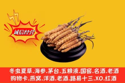 喀什莎车县回收虫草多少钱每克